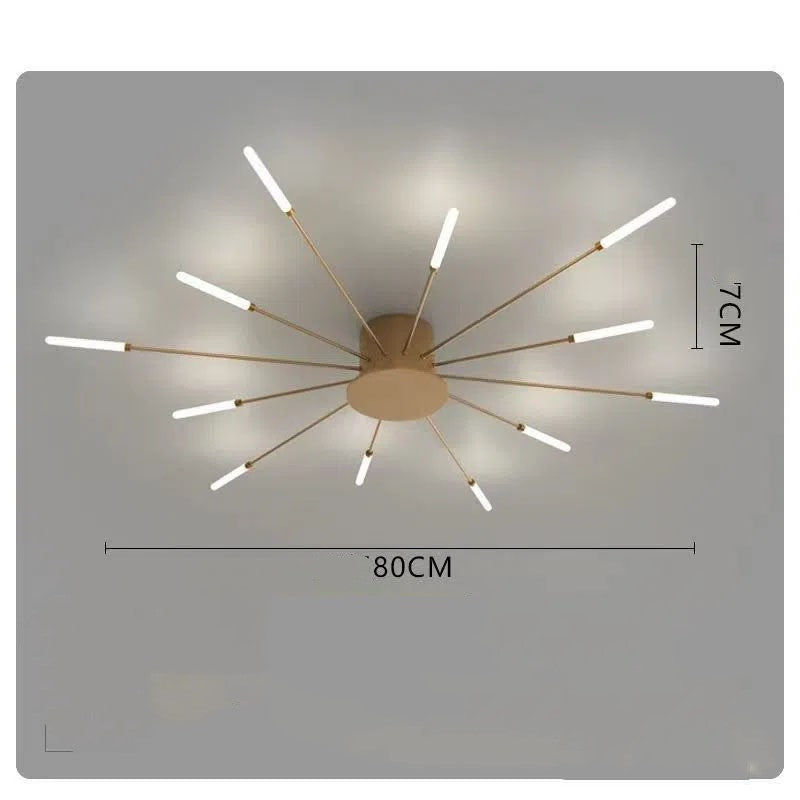 Decorative Iron Ceiling Light